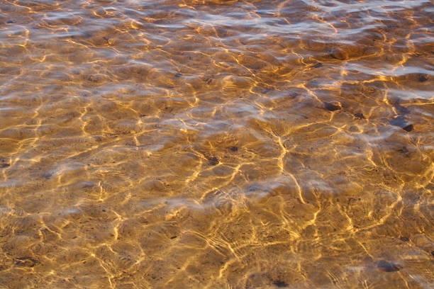 istock Swedisch lake in summer 2006 91440008