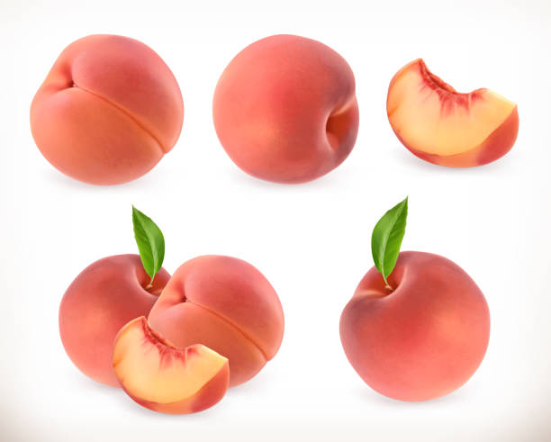 Peach Sweet fruit Peach. Sweet fruit. 3d vector icons set. Realistic illustration nectarine stock illustrations
