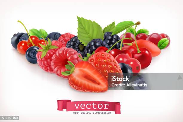 Bacca Della Foresta Frutta Dolce - Immagini vettoriali stock e altre immagini di Bacca - Bacca, Rosso, Frutta