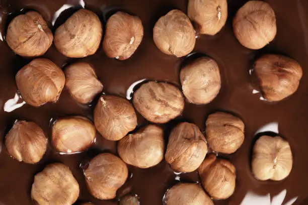 Photo of melted dark chocolate with hazelnuts, making chocolate bar