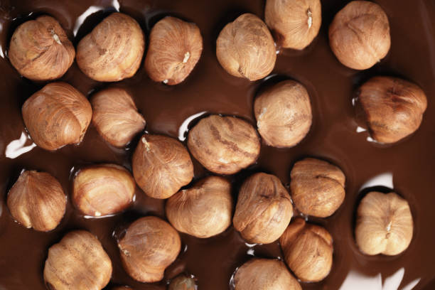 melted dark chocolate with hazelnuts, making chocolate bar - hazel eyes imagens e fotografias de stock