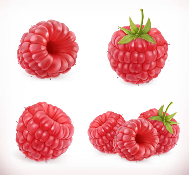 Raspberry. Sweet fruit. Raspberry. Sweet fruit. 3d vector icons set. Realistic illustration raspberry stock illustrations