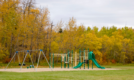 Closeup of a playground surrounded by nature.  