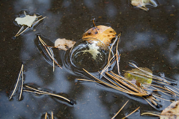 bolha de sabão em poça - water surface emotional stress shape nature imagens e fotografias de stock