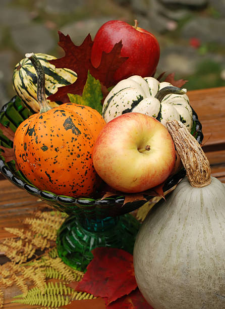 istock harvest fruits and vegetables 91441327