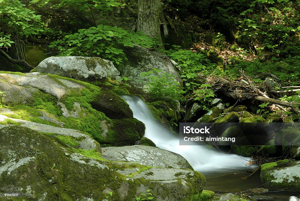 Cascate nel Parco Nazionale di Shenandoah - Foto stock royalty-free di Acqua