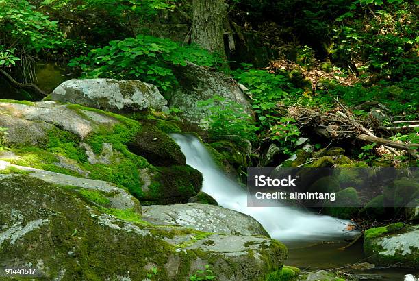 Cascatas Em Parque Nacional De Shenandoah - Fotografias de stock e mais imagens de Ao Ar Livre - Ao Ar Livre, Cascata, Cena Não Urbana