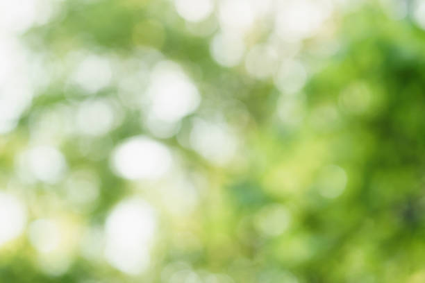 istock abstract green summer bokeh background 914416140