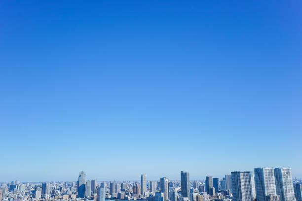 istock Panoramic view of Tokyo, Japan 914416248
