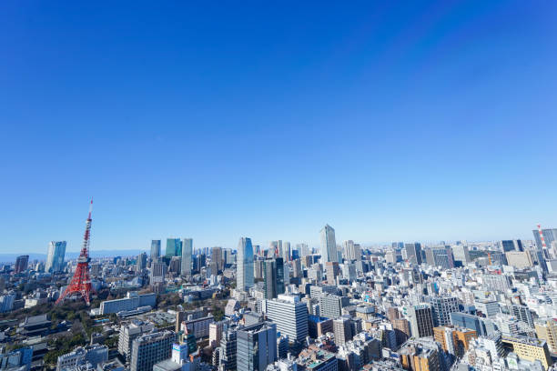 istock Panoramic view of Tokyo, Japan 914416258