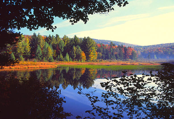 piękna jesień - massachusetts the berkshires autumn mountain zdjęcia i obrazy z banku zdjęć