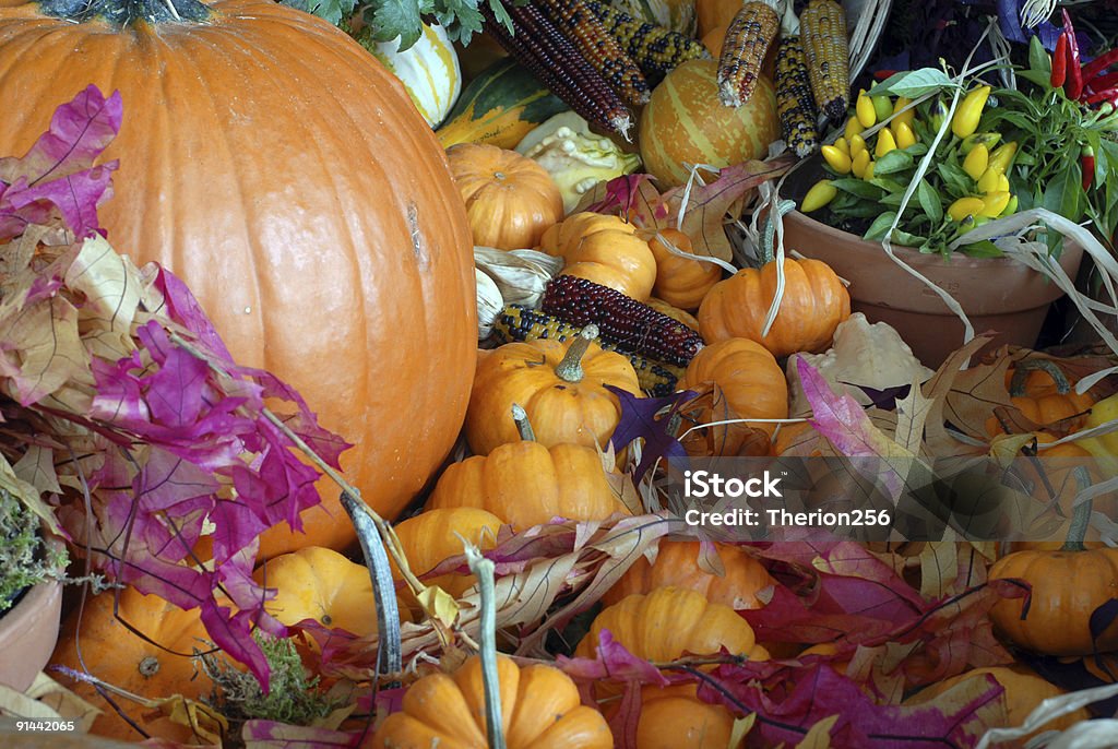 Autumn Display III  Autumn Stock Photo