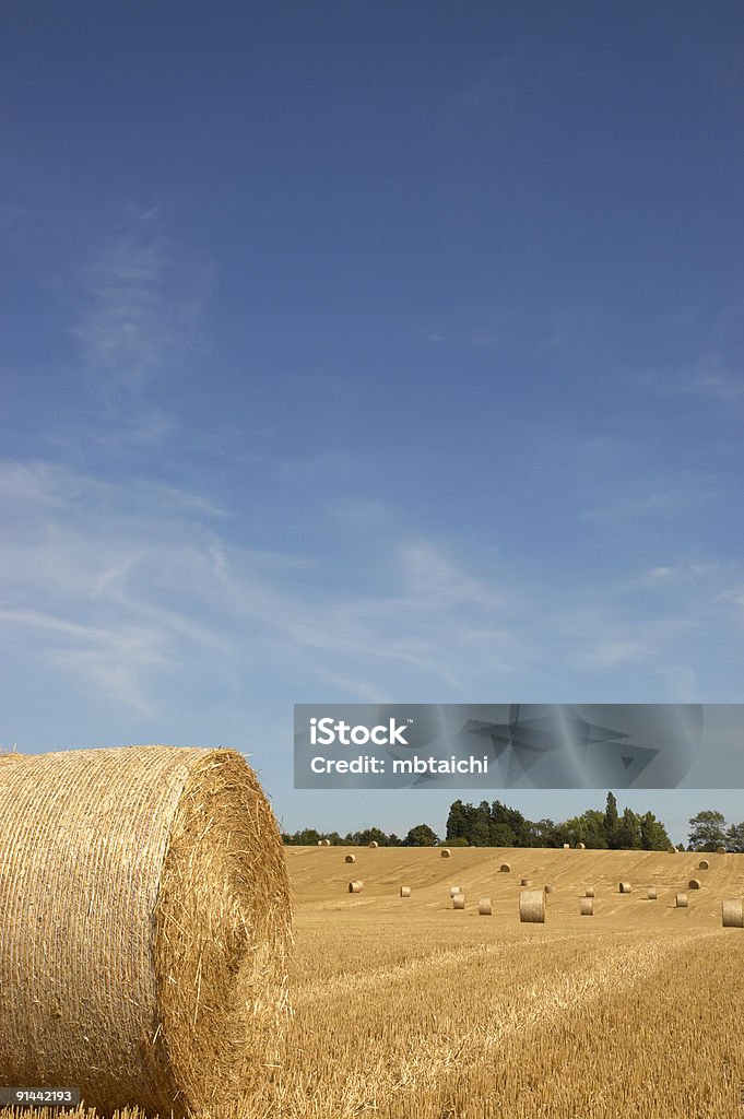 Meia Bale - Foto de stock de Agricultura royalty-free