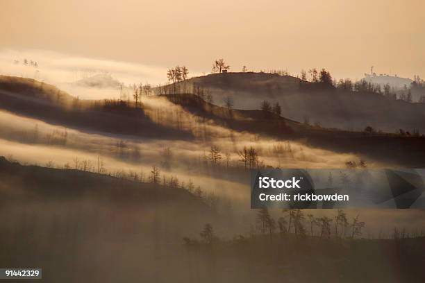 Misty Alba - Fotografie stock e altre immagini di Halkidiki - Halkidiki, Alba - Crepuscolo, Albero