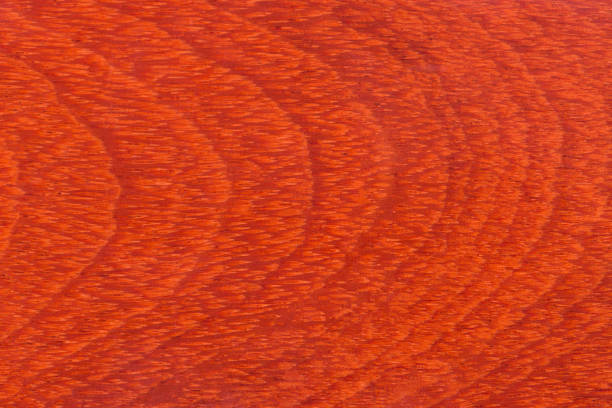 istock Realistic redwood wooden floor 914423356