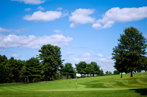 istock Fairway at a Professional Golf Course with Putting Green 91442479