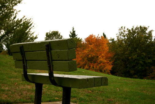park bench with a nice viewpoint.