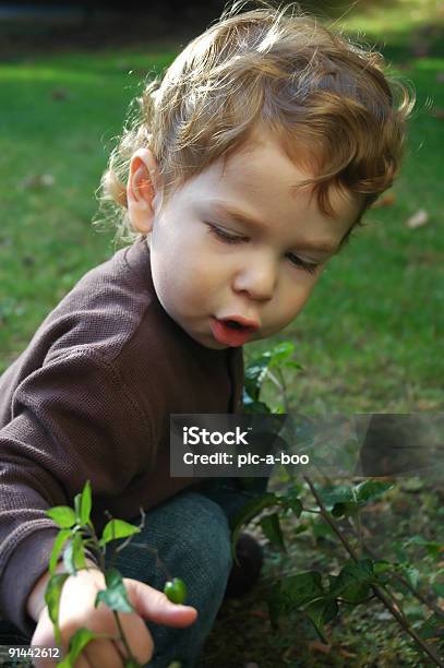 Examinar Foto de stock y más banco de imágenes de 2-3 años - 2-3 años, Aferrarse, Aire libre