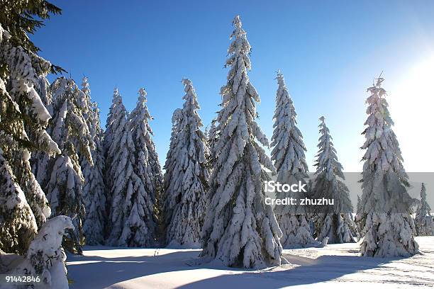 Paisagem De Inverno - Fotografias de stock e mais imagens de Abeto - Abeto, Ao Ar Livre, Azul