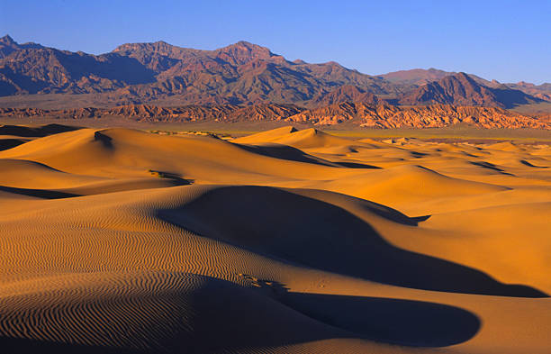 istock Sunset at sand dunes in Death Valley National Park 91442867