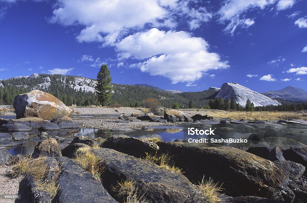 Glacially polerowane granitowych skał, Tuolumne Meadows Yosemite - Zbiór zdjęć royalty-free (Bez ludzi)