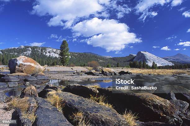 Glacially Polerowane Granitowych Skał Tuolumne Meadows Yosemite - zdjęcia stockowe i więcej obrazów Bez ludzi