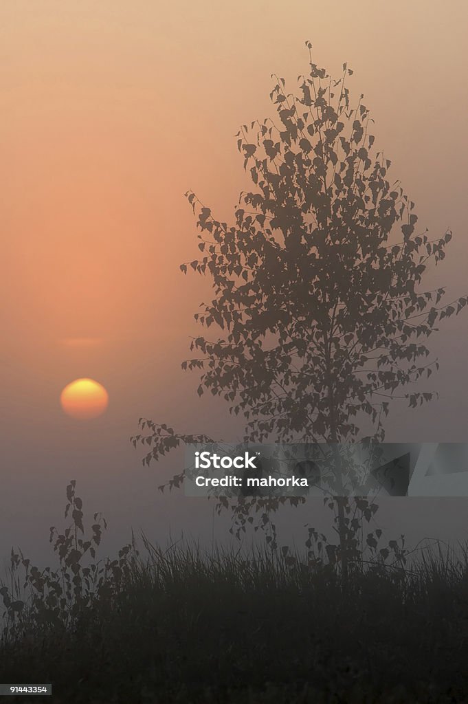 Pôr do sol - Foto de stock de Ambiente - All Vocabulary royalty-free