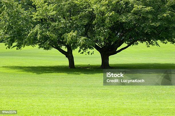 Gemini Space Capsule Stockfoto und mehr Bilder von Ast - Pflanzenbestandteil - Ast - Pflanzenbestandteil, Baum, Bildhintergrund