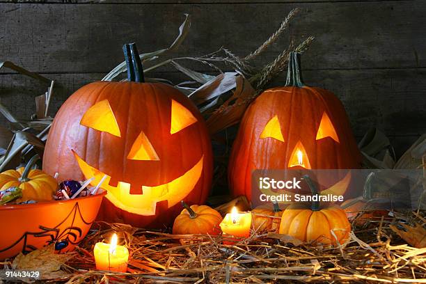 조각된 잭볼olanterns 할로윈에 대한 스톡 사진 및 기타 이미지 - 할로윈, 호박-조롱박과 식물, 0명