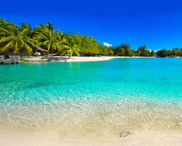 picturesque tropical beach in Bora Bora Tahiti