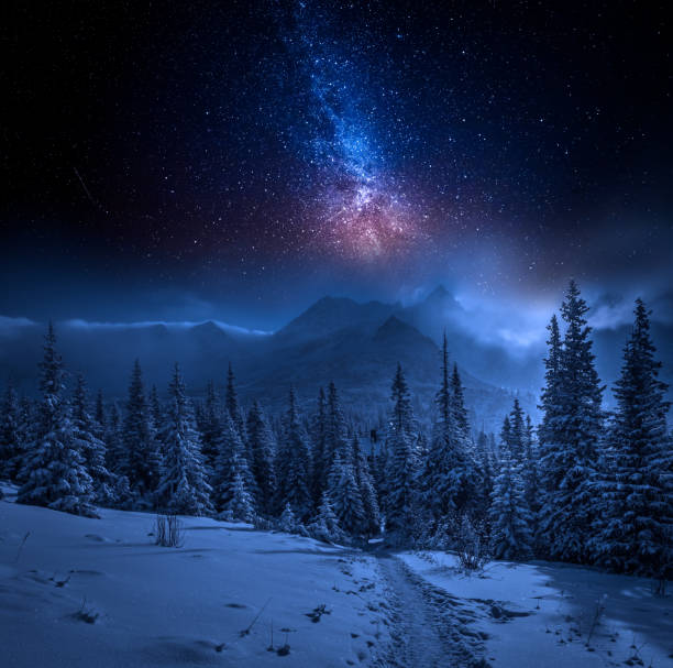 monti tatra in inverno di notte e stelle, polonia - hut winter snow mountain foto e immagini stock