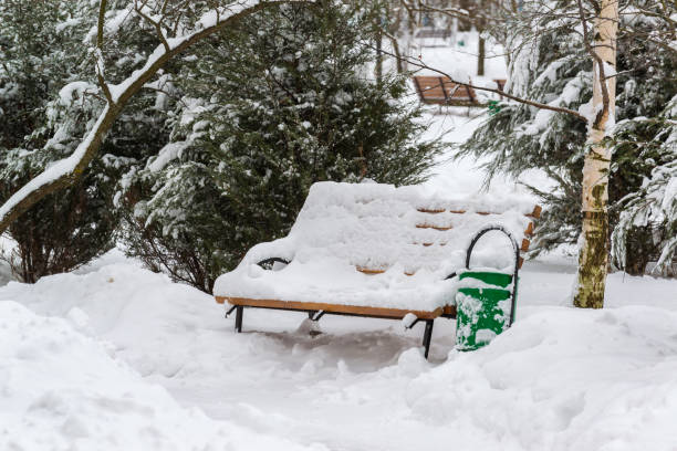 istock Benches in park after a snowfall in winter 914436280