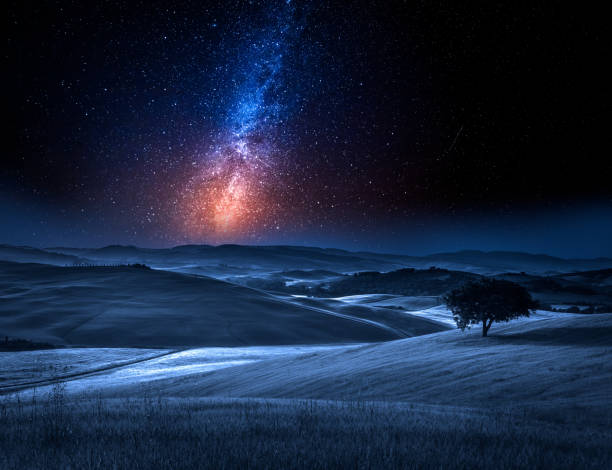 istock Milky way and tree on field in summer at night 914439282