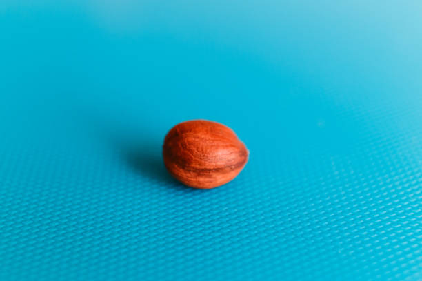 Wallnuts in can