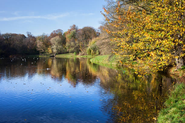 istock Skaryszewski Park in Warsaw 914444292