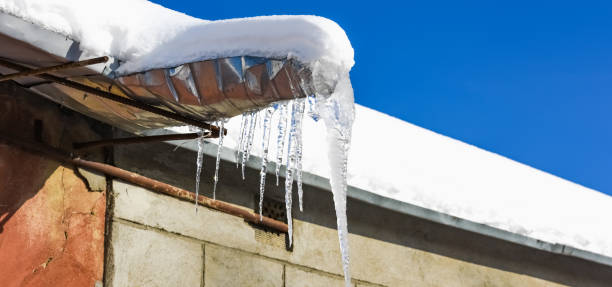 istock the doves hang from the roof 914444350