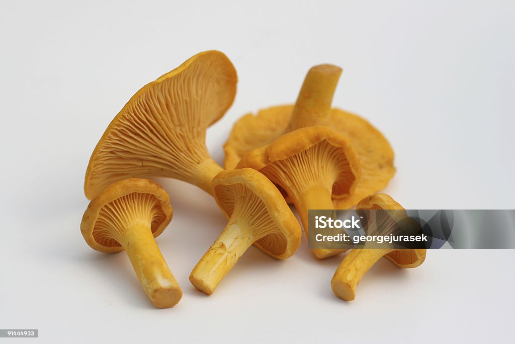 wild mushrooms  Chanterelle Stock Photo
