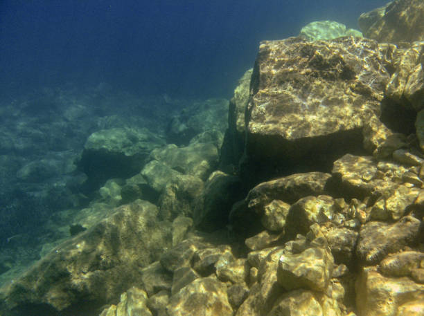 istock Underwater landcape in Hvar croatia 914450610
