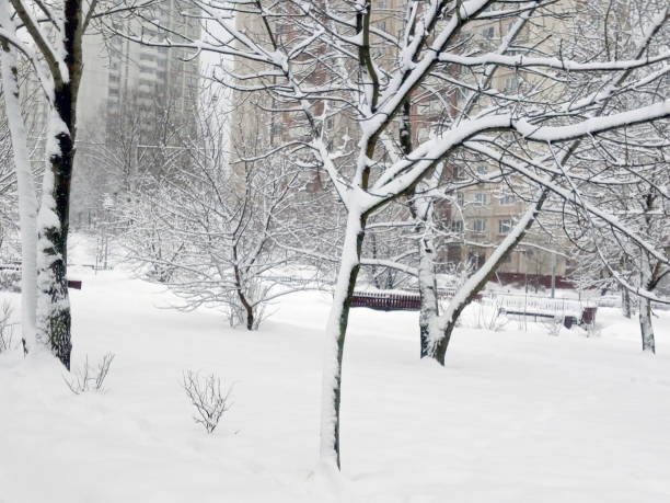 istock city park after snowfall at day 914451008