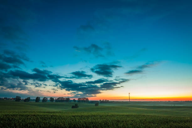 istock Dusk over field wind turbines in summer, Europe 914451172