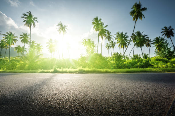 istock empty road in jungle of Seychelles islands 914451238