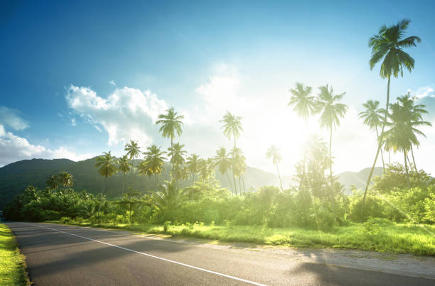 istock empty road in jungle of Seychelles islands 914451240