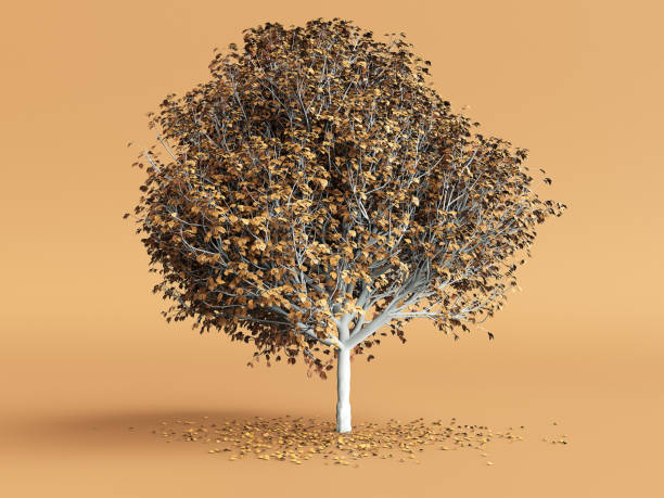 istock Stylized tree with yellow leaves on orange color background. 3d render 914451300