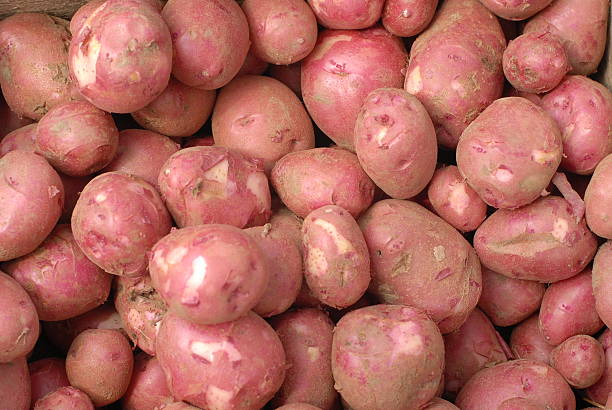 Red Norland Potatoes at a Farmer's Market norland potaoes stock pictures, royalty-free photos & images
