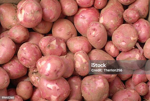 Foto de Red Norland Batatas Em Um Farmers Market e mais fotos de stock de Batata - Tubérculo - Batata - Tubérculo, Norrland, Vermelho