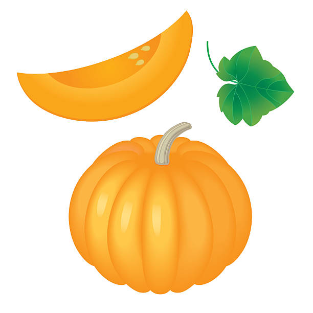 Pumpkin vector art illustration