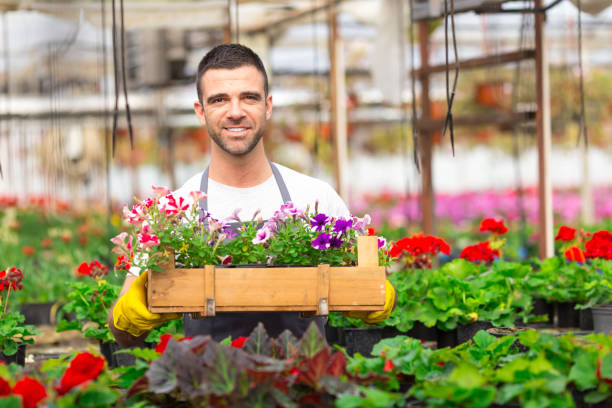 istock Male garden worker holding a crate with flowers 914454738