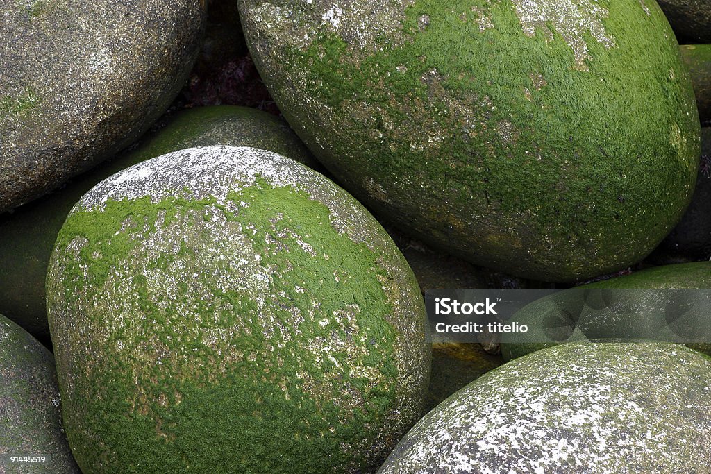 Piedras con moss - Foto de stock de Aire libre libre de derechos