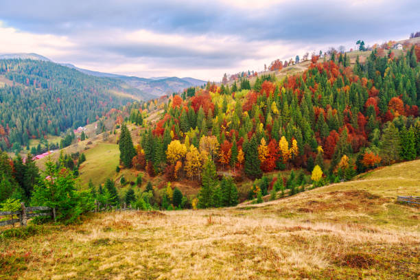 istock Colorful autumn landscape in the Carpathian mountains 914458534