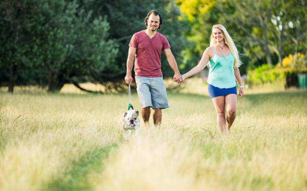 istock Couple enjoying outdoors with their dog. 914461672